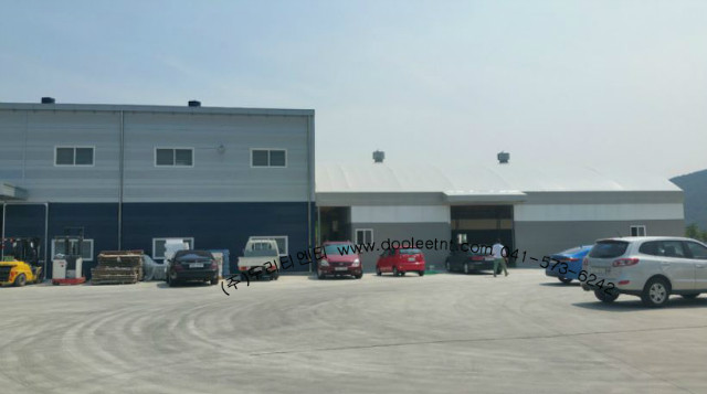 41.JPG